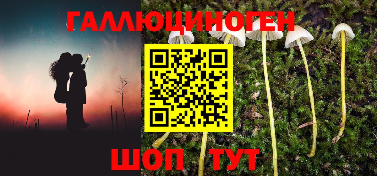 купить   Псилоцибиновые грибы Psilocybine cubensis  Вход с VPN  Клинцы 