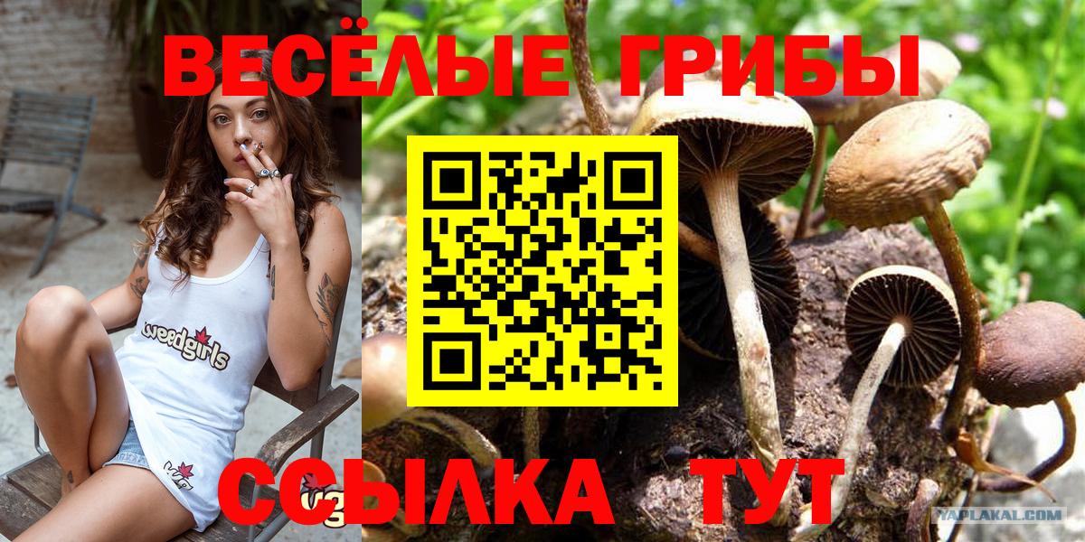 Галлюциногенные грибы ЛСД Клинцы