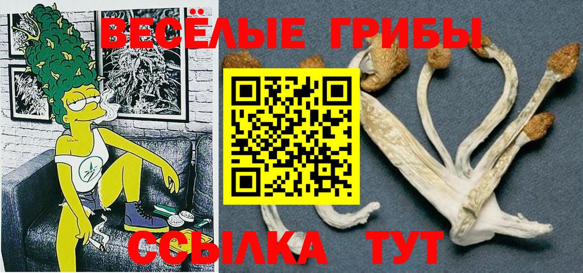 COCAIN  Клинцы  Конопля  Меф   A PVP СК кристаллы  Героин  Вход с VPN  ГАШ  Меф  НБОМе 